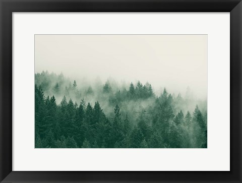 Framed Emerald Forest No. 1 Print