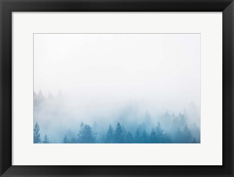 Framed Enchanted Forest No. 2 Print