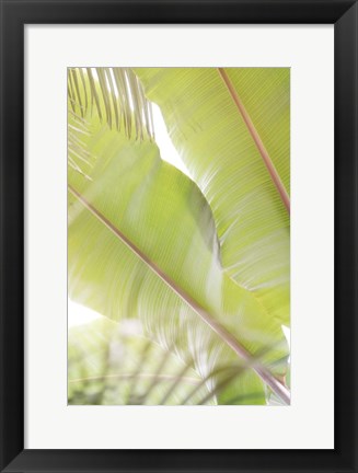 Framed Palm Leaves No. 2 Print