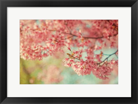 Framed Cheery Cherry Blossoms Print