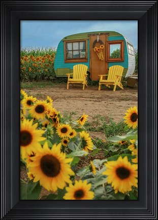 Framed Vintage Camper and Sunflowers 1 Print