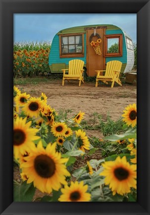 Framed Vintage Camper and Sunflowers 1 Print