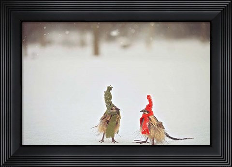 Framed Weathered Feathered Friends Print