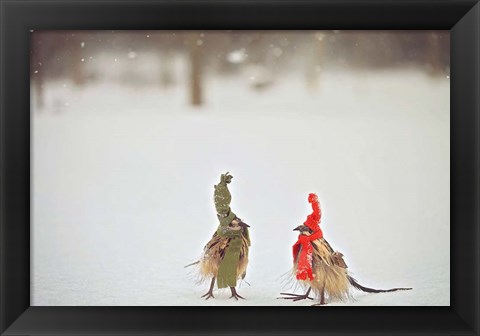 Framed Weathered Feathered Friends Print