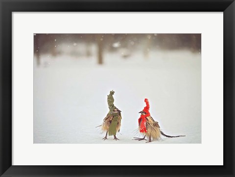 Framed Weathered Feathered Friends Print