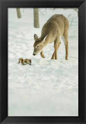 Framed Winter Squirrel and Deer Print
