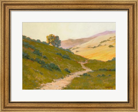 Framed Opalescent Hills Print