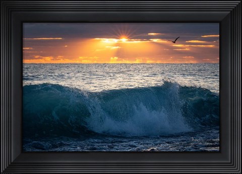 Framed Pelican at Dawn Print