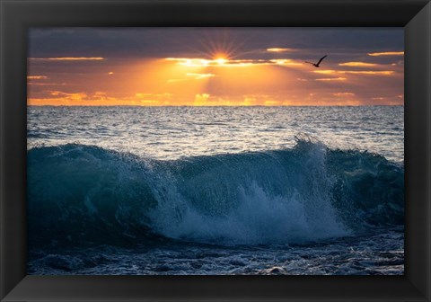 Framed Pelican at Dawn Print