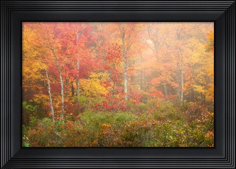Framed Soft Pallet Print