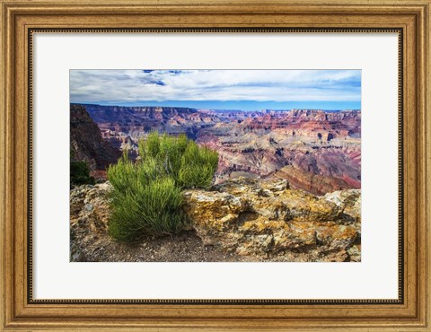 Framed Grand Canyon Medicine Print