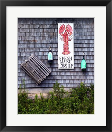 Framed Fresh Maine Lobster Print