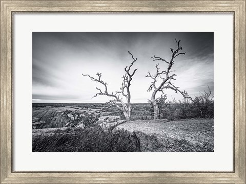 Framed Enchanted View Print