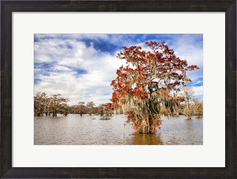 Framed Fall in the Swamp Print