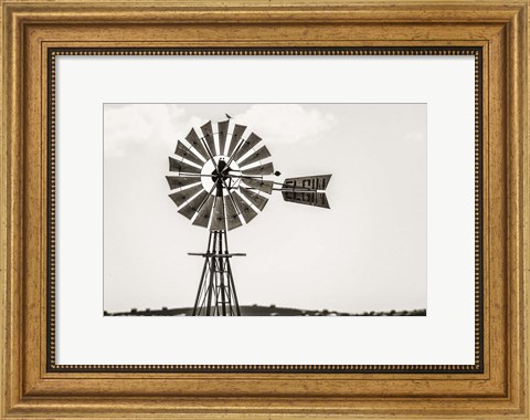 Framed Bird on a Windmill Print