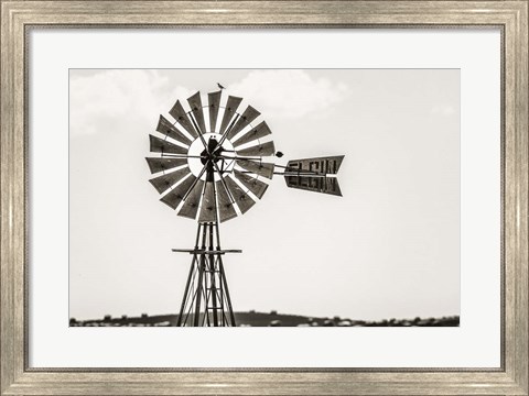 Framed Bird on a Windmill Print