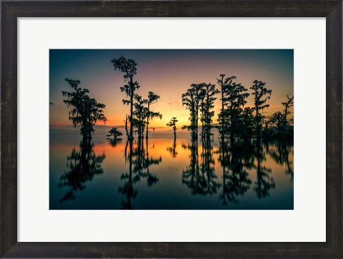 Framed Dawn on Lake Maurepas Print