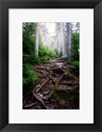 Framed Forest Gates Print