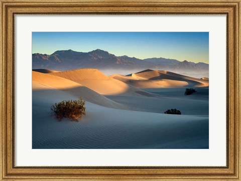 Framed Mesquite Dunes Print