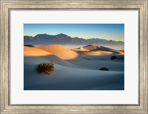 Framed Mesquite Dunes Print