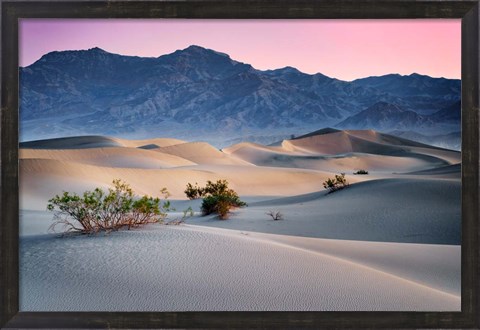 Framed Dawn in the Dunes Print