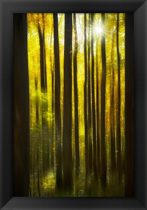 Framed Autumn Forest Dream Print