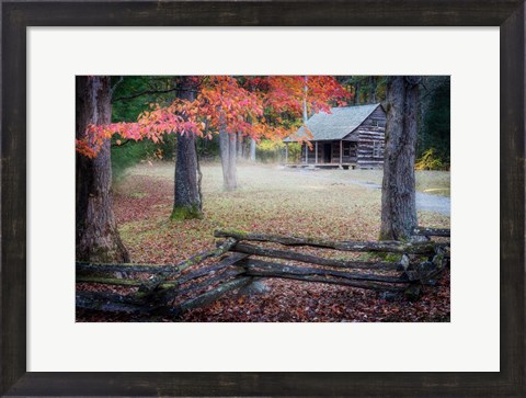 Framed Autumn at Carter Shields Cabin Print