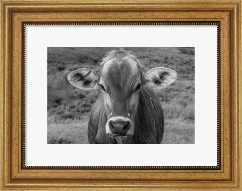 Framed Dairy Barn BW Print