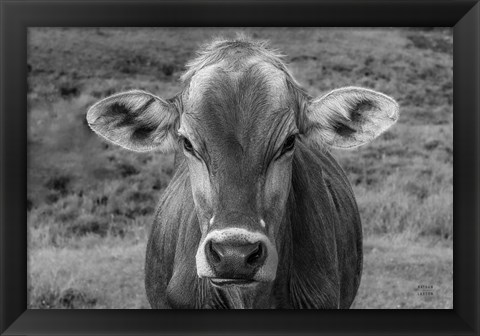 Framed Dairy Barn BW Print