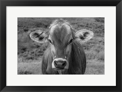 Framed Dairy Barn BW Print