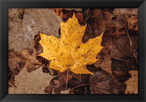 Framed Fall Rains II Print