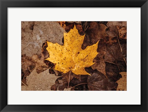 Framed Fall Rains II Print