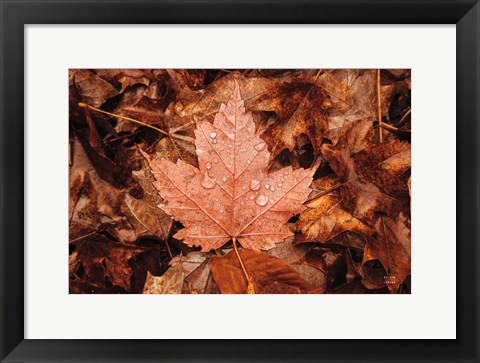 Framed Fall Rains I Print