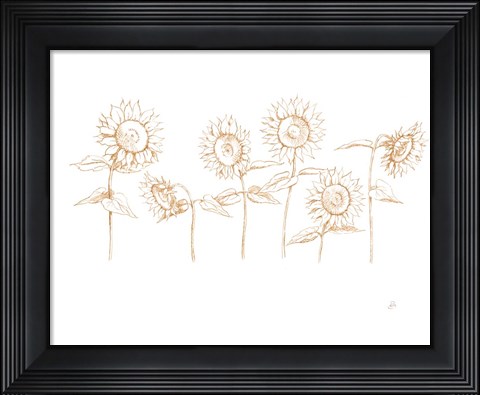 Framed Sunshine Seeds III Print