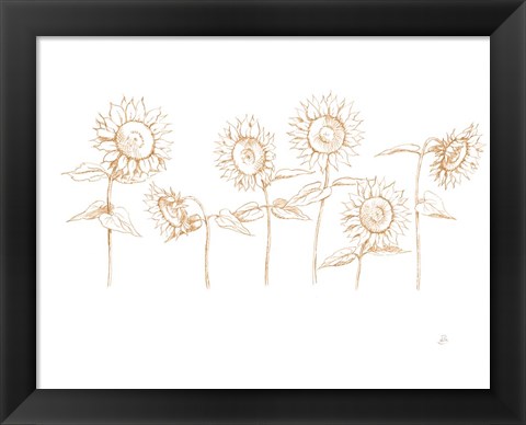 Framed Sunshine Seeds III Print