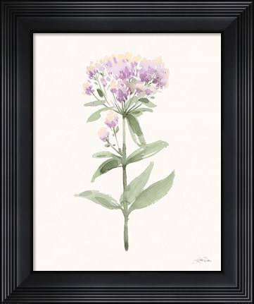 Framed Flowers of the Wild II Pastel Print