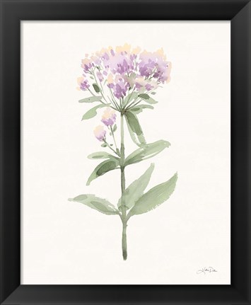 Framed Flowers of the Wild II Pastel Print