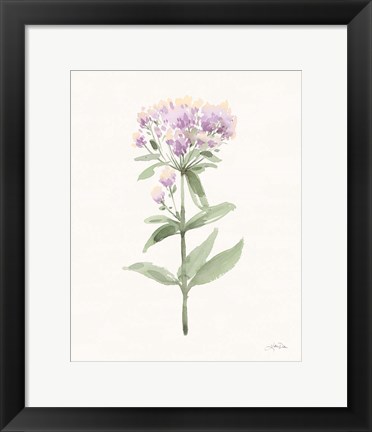 Framed Flowers of the Wild II Pastel Print