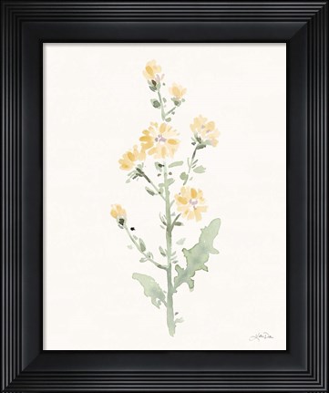 Framed Flowers of the Wild III Pastel Print