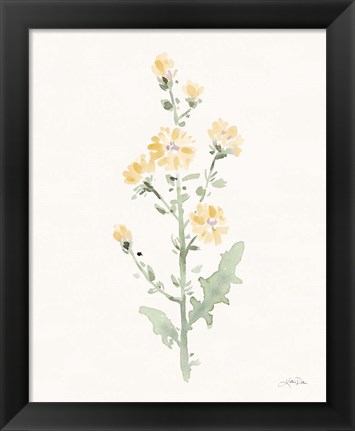 Framed Flowers of the Wild III Pastel Print