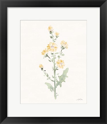 Framed Flowers of the Wild III Pastel Print