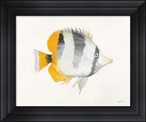 Framed Ocean Life II Print