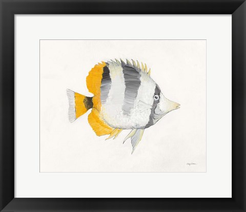 Framed Ocean Life II Print