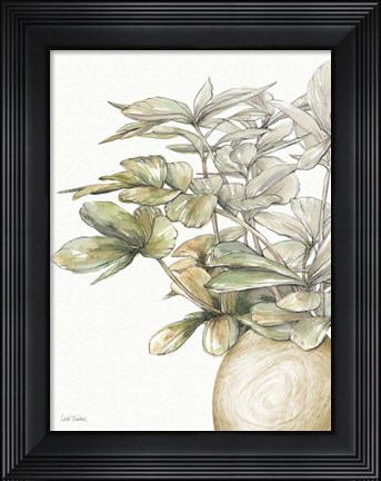 Framed Potted Leaves II Print