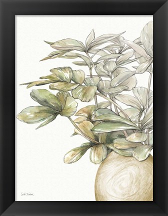 Framed Potted Leaves II Print