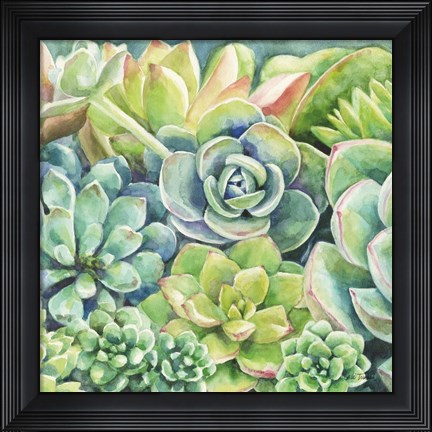 Framed Succulents Print