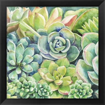 Framed Succulents Print