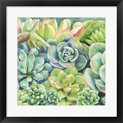 Framed Succulents Print