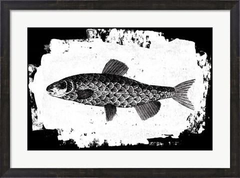 Framed Fish II Print