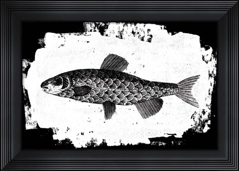 Framed Fish II Print